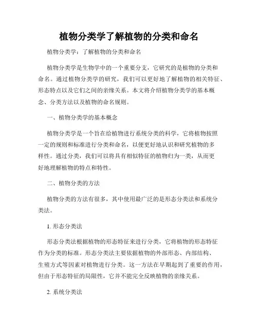 植物分类学了解植物的分类和命名