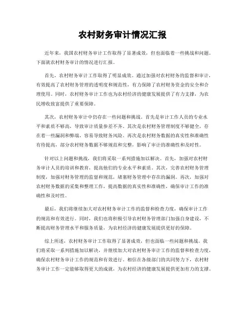 农村财务审计情况汇报