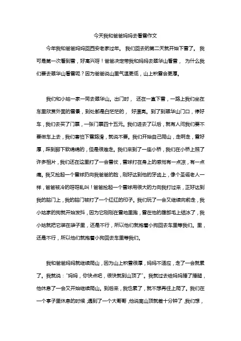 今天我和爸爸妈妈去看雪作文