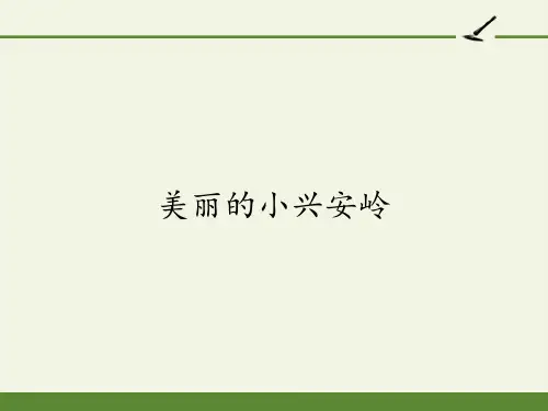 美丽的小兴安岭