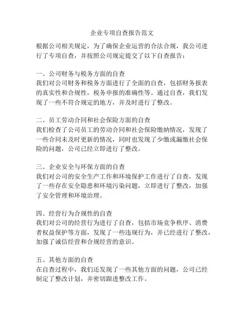 企业专项自查报告范文