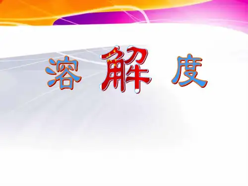 中考化学冲刺总复习 《溶解度》课件 北京版