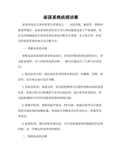 泌尿系统疾病诊断