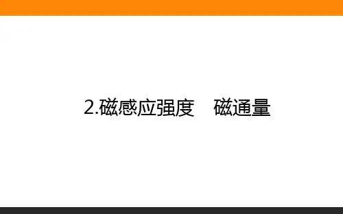 高中物理必修三(人教版)13.2磁感应强度 磁通量