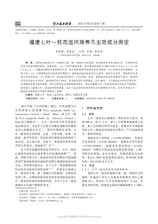 福建七叶一枝花组织培养及主效成分测定