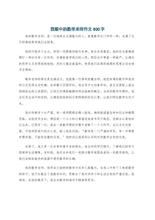 我眼中的数学老师作文600字