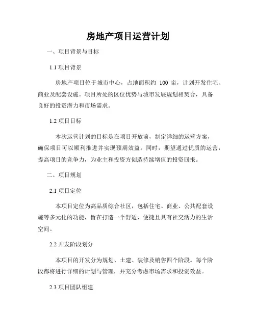 房地产项目运营计划