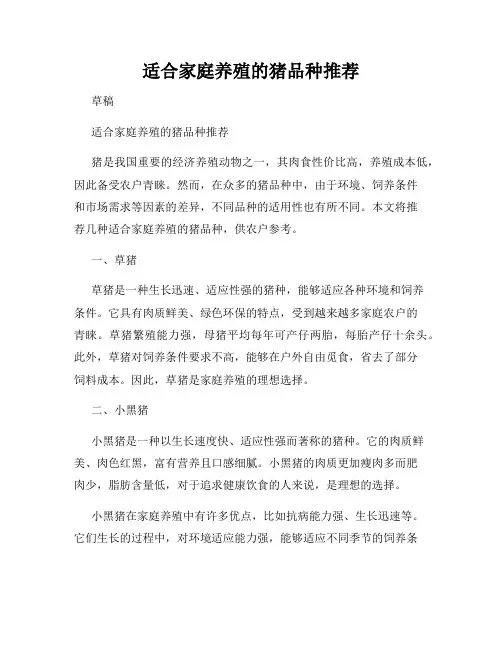 适合家庭养殖的猪品种推荐