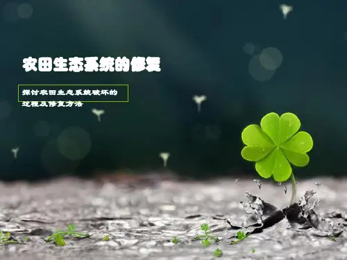 农田生态系统的修复