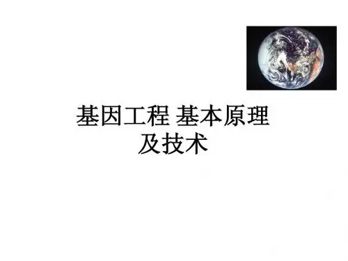 基因技术