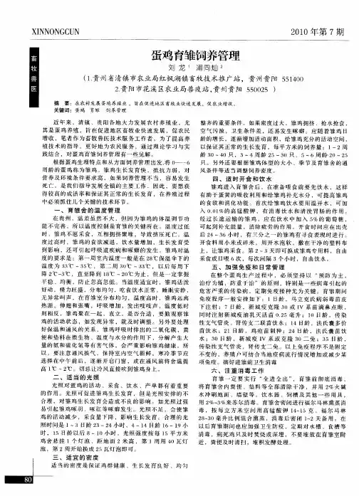 蛋鸡育雏饲养管理