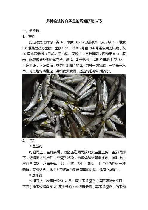 多种钓法钓白条鱼的线组搭配技巧