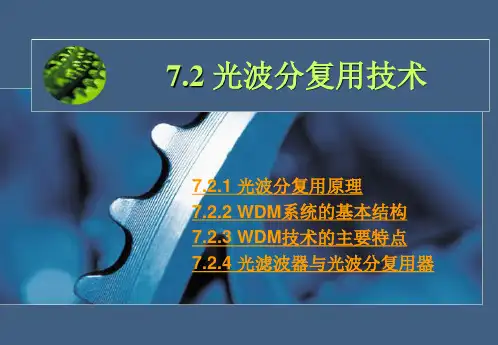 波分复用