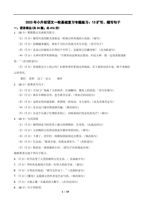 2023年小升初语文一轮基础复习专题练习：13扩写、缩写句子