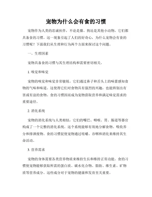 宠物为什么会有食的习惯