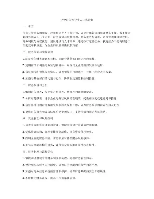 分管财务领导个人工作计划
