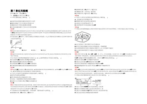 【南方新课堂 金牌学案】人教版2021-2022学年高中生物必修一课后练习 第5章过关检测