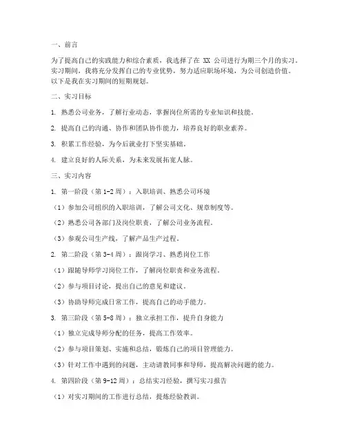 实习报告短期规划