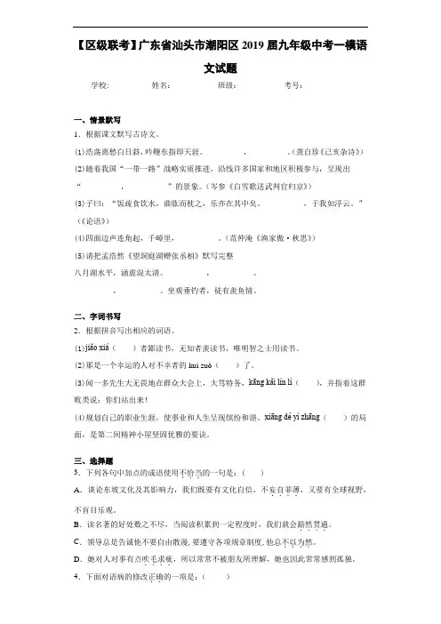 【区级联考】广东省汕头市潮阳区2019届九年级中考一模语文试题