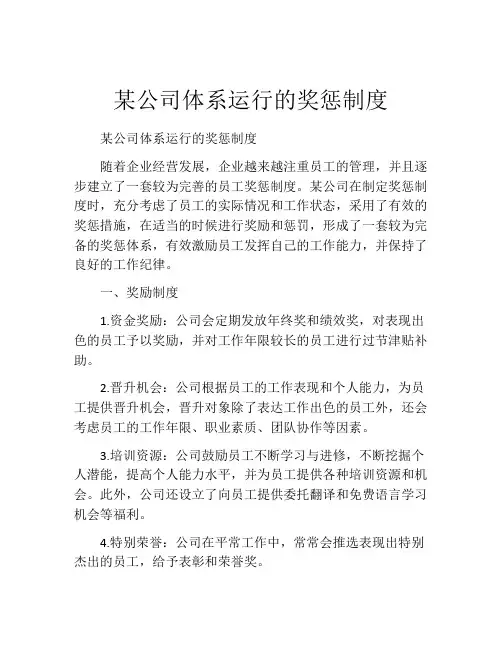 某公司体系运行的奖惩制度