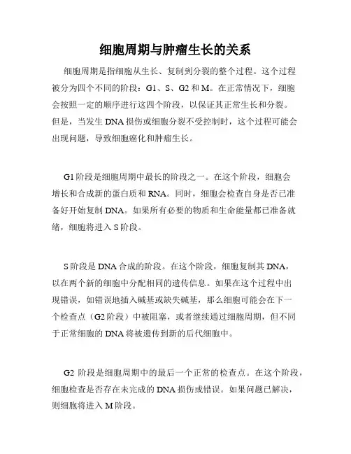 细胞周期与肿瘤生长的关系