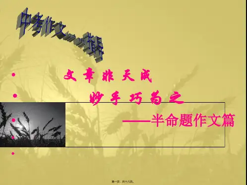 中考作文指导(公开课)