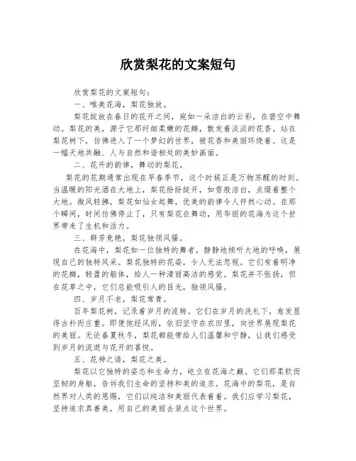 欣赏梨花的文案短句