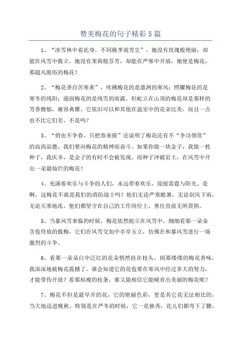 赞美梅花的句子精彩5篇