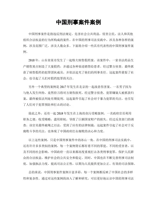 中国刑事案件案例