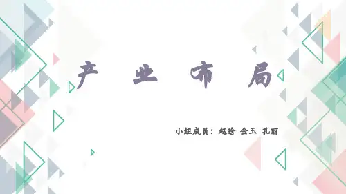 产业经济学-产业布局