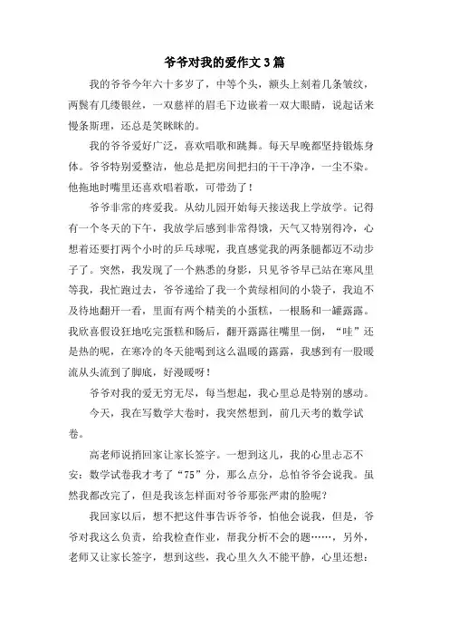 爷爷对我的爱作文3篇