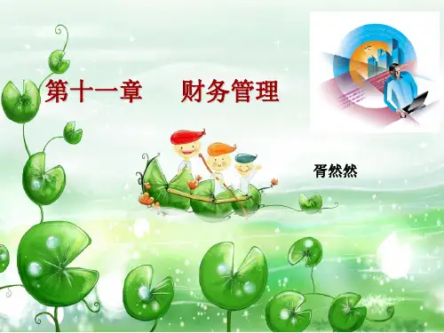 第11章财务管理