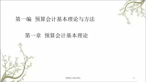 预算会计基本理论课件