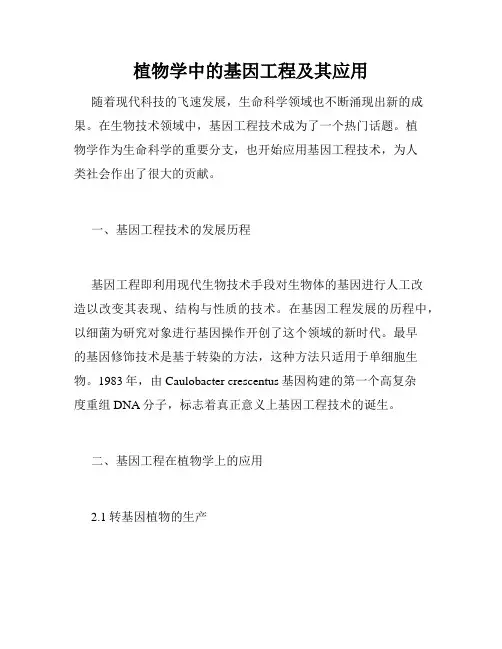 植物学中的基因工程及其应用