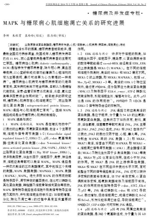 MAPK+与糖尿病心肌细胞凋亡关系的研究进展