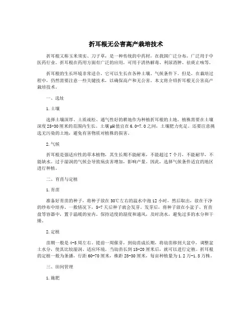 折耳根无公害高产栽培技术
