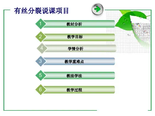 有丝分裂说课