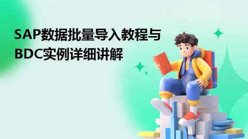 SAP数据批量导入教程与BDC实例详细讲解