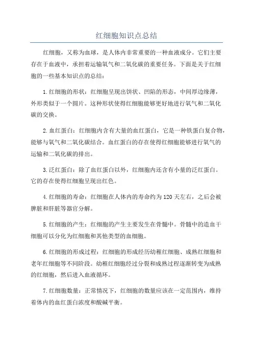 红细胞知识点总结