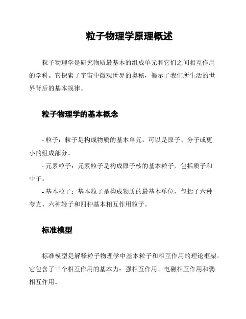 粒子物理学原理概述