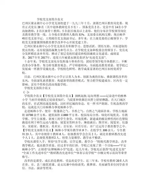 学校党支部简介范文