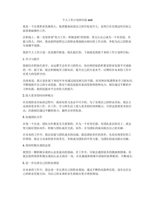 个人工作计划和目标ecxl