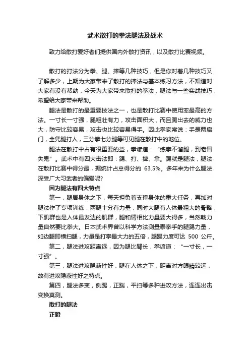 武术散打的拳法腿法及战术