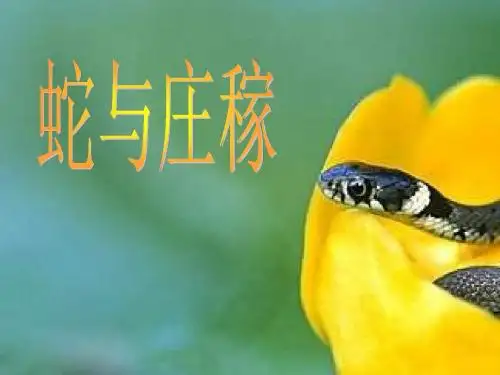 沪教版五年级上册《蛇与庄稼》2