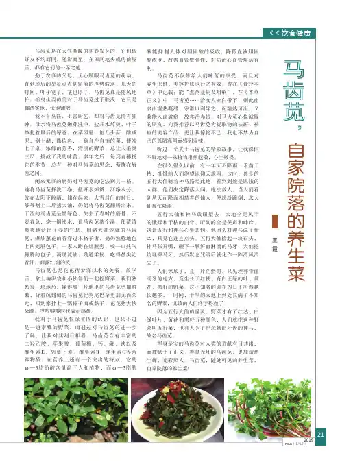 马齿苋,自家院落的养生菜