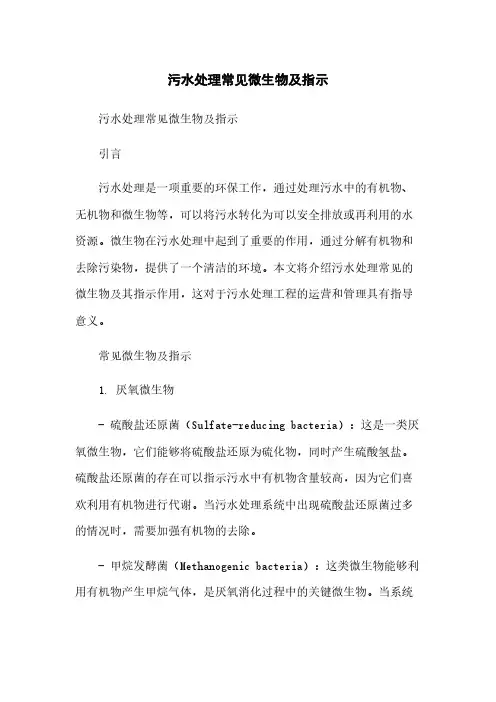 污水处理常见微生物及指示简版