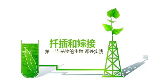 初中综合实践活动扦插和嫁接ppt课件
