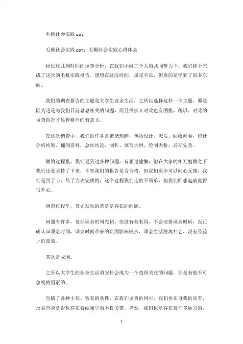 毛概社会实践ppt(最新)