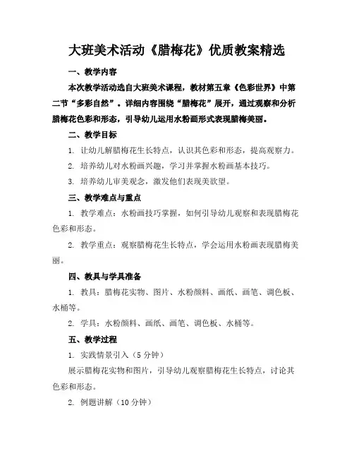 大班美术活动《腊梅花》优质教案精选