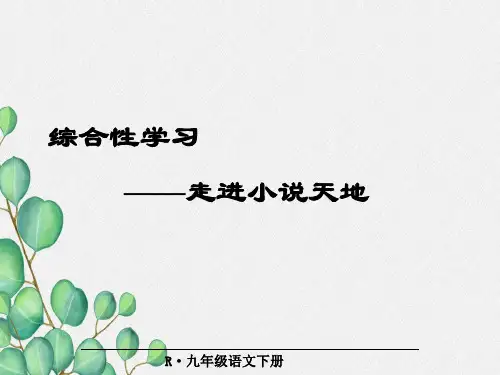 《走进小说天地》